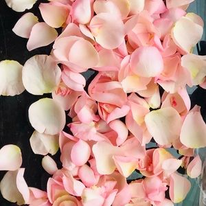 Meet your Posher, Tracy